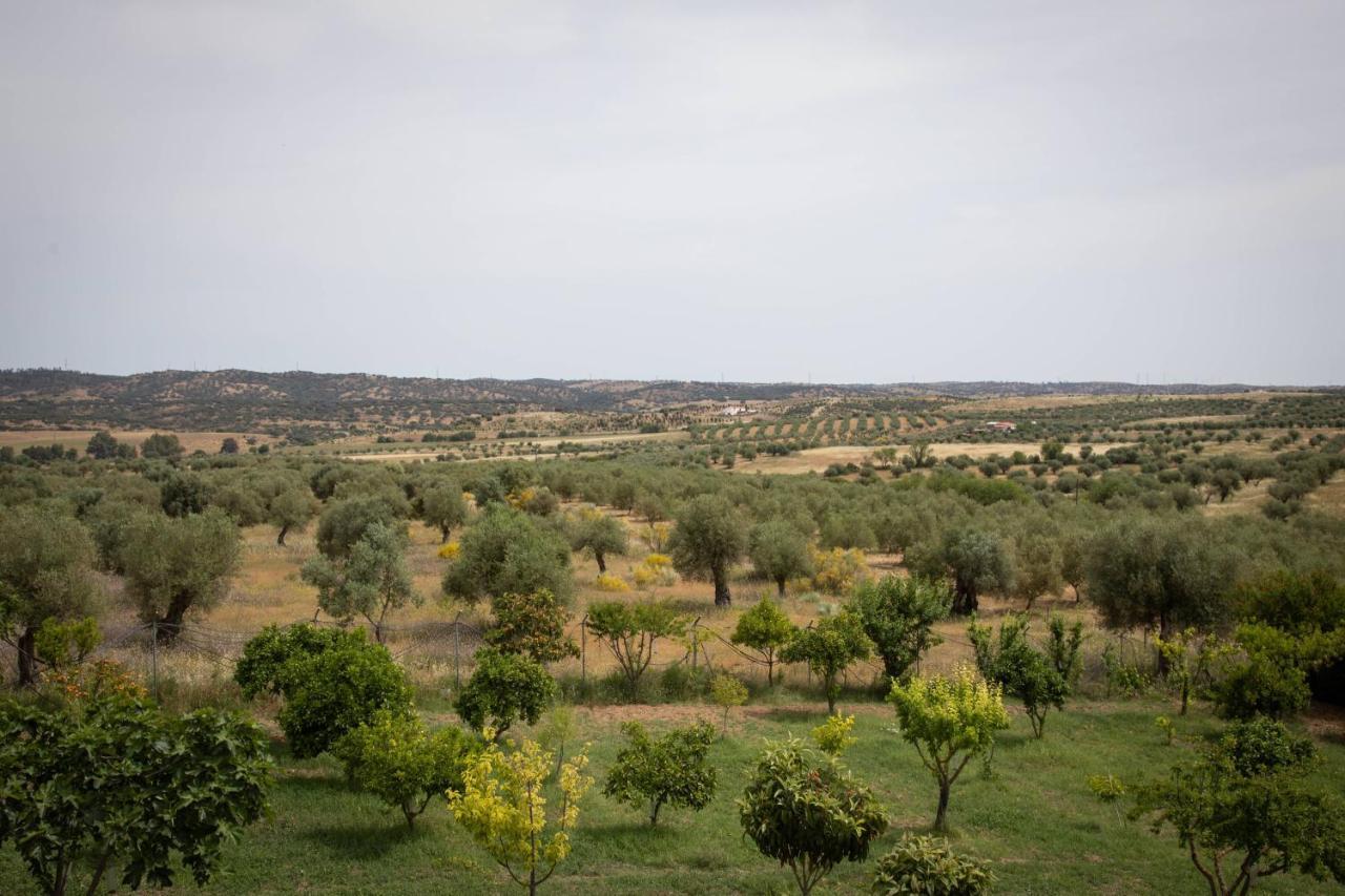 Passo Do Lobo - Turismo Rural モウラ エクステリア 写真